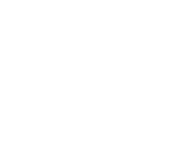 fboPartners_FA-bird-only-600px-white